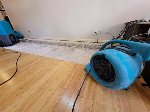 Professional Water Damage Repair technician working in Glyndon, MN